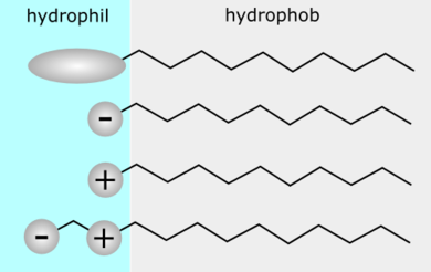 Surfactant.png